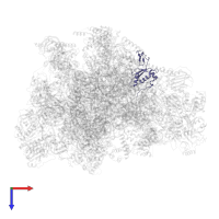 Large ribosomal subunit protein uL30m in PDB entry 7of3, assembly 1, top view.