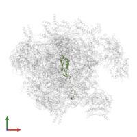 Large ribosomal subunit protein mL43 in PDB entry 7of3, assembly 1, front view.