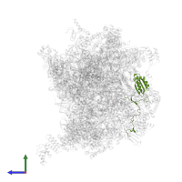 Large ribosomal subunit protein mL43 in PDB entry 7of3, assembly 1, side view.