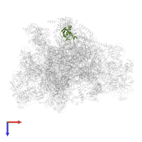 Large ribosomal subunit protein mL43 in PDB entry 7of3, assembly 1, top view.