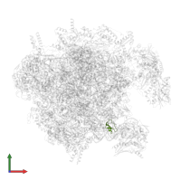 Large ribosomal subunit protein bL36m in PDB entry 7of3, assembly 1, front view.