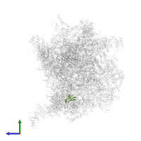 Large ribosomal subunit protein bL36m in PDB entry 7of3, assembly 1, side view.