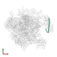 Large ribosomal subunit protein mL40 in PDB entry 7of3, assembly 1, front view.
