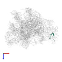 Large ribosomal subunit protein mL40 in PDB entry 7of3, assembly 1, top view.