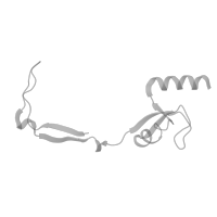 The deposited structure of PDB entry 7of4 contains 1 copy of Pfam domain PF22078 (Large ribosomal subunit protein bL9m C-terminal domain) in Large ribosomal subunit protein bL9m. Showing 1 copy in chain Q [auth H] (this domain is out of the observed residue ranges!).