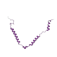 The deposited structure of PDB entry 7of4 contains 1 copy of Pfam domain PF14978 (Mitochondrial ribosome protein 63) in Large ribosomal subunit protein mL63. Showing 1 copy in chain WA [auth o].