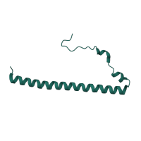 The deposited structure of PDB entry 7of4 contains 1 copy of Pfam domain PF09812 (Mitochondrial ribosomal protein L28) in Large ribosomal subunit protein mL40. Showing 1 copy in chain I [auth 8].