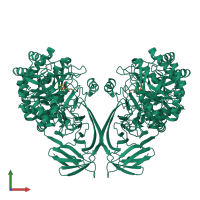 Homo dimeric assembly 1 of PDB entry 7ofx coloured by chemically distinct molecules, front view.