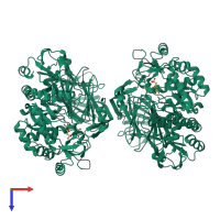 Homo dimeric assembly 1 of PDB entry 7ofx coloured by chemically distinct molecules, top view.