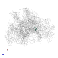 Large ribosomal subunit protein bL36m in PDB entry 7oic, assembly 1, top view.