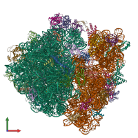 PDB entry 7oif coloured by chain, front view.