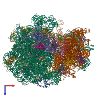 PDB entry 7oif coloured by chain, top view.