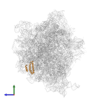 30S ribosomal protein S15 in PDB entry 7oif, assembly 1, side view.