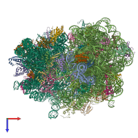 PDB entry 7oj0 coloured by chain, top view.