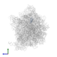 Small ribosomal subunit protein uS10 in PDB entry 7oj0, assembly 1, side view.
