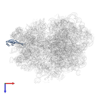 Small ribosomal subunit protein uS10 in PDB entry 7oj0, assembly 1, top view.