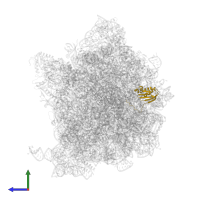 Small ribosomal subunit protein uS11 in PDB entry 7oj0, assembly 1, side view.