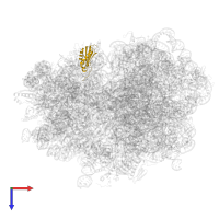 Small ribosomal subunit protein uS11 in PDB entry 7oj0, assembly 1, top view.