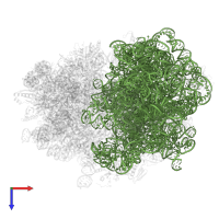 23S ribosomal RNA in PDB entry 7oj0, assembly 1, top view.