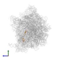 Large ribosomal subunit protein bL32 in PDB entry 7oj0, assembly 1, side view.