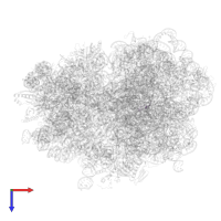 Tryptophanase operon leader peptide in PDB entry 7oj0, assembly 1, top view.