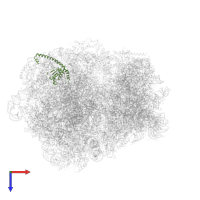 60S ribosomal protein L16-like protein in PDB entry 7olc, assembly 1, top view.