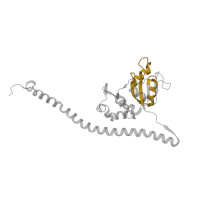 The deposited structure of PDB entry 7old contains 1 copy of Pfam domain PF00327 (Ribosomal protein L30p/L7e) in 60S ribosomal protein l7-like protein. Showing 1 copy in chain N [auth LF].