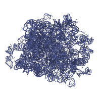 The deposited structure of PDB entry 7old contains 1 copy of Rfam domain RF02543 (Eukaryotic large subunit ribosomal RNA) in 26S rRNA. Showing 1 copy in chain A [auth 1].