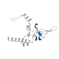 The deposited structure of PDB entry 7old contains 1 copy of Pfam domain PF00467 (KOW motif) in KOW domain-containing protein. Showing 1 copy in chain GA [auth LY].