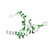 The deposited structure of PDB entry 7old contains 1 copy of Pfam domain PF16906 (Ribosomal proteins L26 eukaryotic, L24P archaeal) in KOW domain-containing protein. Showing 1 copy in chain GA [auth LY].