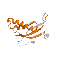 The deposited structure of PDB entry 7old contains 1 copy of Pfam domain PF01198 (Ribosomal protein L31e) in Putative 60S ribosomal protein. Showing 1 copy in chain LA [auth Ld].