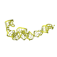 The deposited structure of PDB entry 7old contains 1 copy of Rfam domain RF00001 (5S ribosomal RNA) in 5S ribosomal RNA. Showing 1 copy in chain C [auth 3].