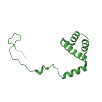 The deposited structure of PDB entry 7old contains 1 copy of Pfam domain PF01158 (Ribosomal protein L36e) in 60S ribosomal protein L36. Showing 1 copy in chain QA [auth Li].