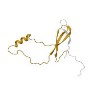 The deposited structure of PDB entry 7old contains 1 copy of Pfam domain PF00935 (Ribosomal protein L44) in 60S ribosomal protein L44-like protein. Showing 1 copy in chain WA [auth Lo].