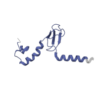 The deposited structure of PDB entry 7old contains 1 copy of Pfam domain PF01780 (Ribosomal L37ae protein family) in 60S ribosomal protein L43-like protein. Showing 1 copy in chain XA [auth Lp].