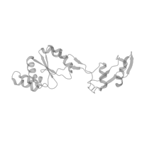 The deposited structure of PDB entry 7old contains 1 copy of Pfam domain PF00428 (60s Acidic ribosomal protein) in 60S acidic ribosomal protein P0. Showing 1 copy in chain AB [auth Ls] (this domain is out of the observed residue ranges!).