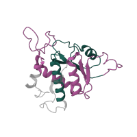 The deposited structure of PDB entry 7old contains 2 copies of Pfam domain PF00318 (Ribosomal protein S2) in Small ribosomal subunit protein uS2. Showing 2 copies in chain BB [auth SA].