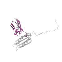 The deposited structure of PDB entry 7old contains 1 copy of Pfam domain PF07650 (KH domain) in 40S ribosomal protein S3. Showing 1 copy in chain EB [auth SD].