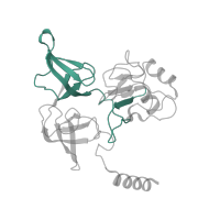 The deposited structure of PDB entry 7old contains 1 copy of Pfam domain PF00900 (Ribosomal family S4e) in 40S ribosomal protein S4. Showing 1 copy in chain FB [auth SE].