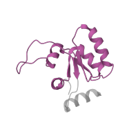 The deposited structure of PDB entry 7old contains 1 copy of Pfam domain PF01248 (Ribosomal protein L7Ae/L30e/S12e/Gadd45 family) in 40S ribosomal protein S12. Showing 1 copy in chain NB [auth SM].