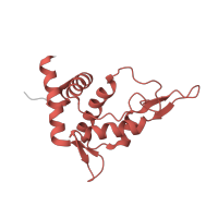 The deposited structure of PDB entry 7old contains 1 copy of Pfam domain PF01090 (Ribosomal protein S19e) in 40S ribosomal protein S19-like protein. Showing 1 copy in chain UB [auth ST].