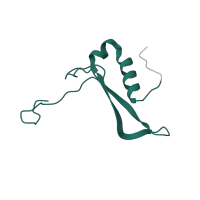 The deposited structure of PDB entry 7old contains 1 copy of Pfam domain PF01249 (Ribosomal protein S21e) in 40S ribosomal protein S21-like protein. Showing 1 copy in chain WB [auth SV].