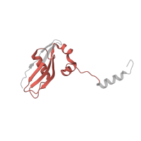 The deposited structure of PDB entry 7old contains 1 copy of Pfam domain PF01282 (Ribosomal protein S24e) in Small ribosomal subunit protein eS24. Showing 1 copy in chain ZB [auth SY].