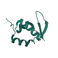 The deposited structure of PDB entry 7old contains 1 copy of Pfam domain PF03297 (S25 ribosomal protein) in 40S ribosomal protein S25. Showing 1 copy in chain AC [auth SZ].