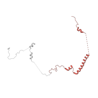 The deposited structure of PDB entry 7old contains 1 copy of Pfam domain PF04774 (Hyaluronan / mRNA binding family) in Hyaluronan/mRNA-binding protein domain-containing protein. Showing 1 copy in chain G [auth B].