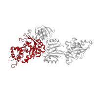 The deposited structure of PDB entry 7old contains 1 copy of Pfam domain PF00009 (Elongation factor Tu GTP binding domain) in Elongation factor 2. Showing 1 copy in chain H [auth C].