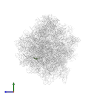 Large ribosomal subunit protein eL39 in PDB entry 7old, assembly 1, side view.