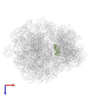 Putative ribosomal protein in PDB entry 7old, assembly 1, top view.