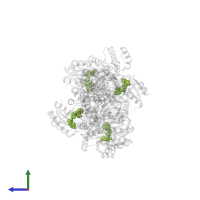 NICOTINAMIDE-ADENINE-DINUCLEOTIDE in PDB entry 7onu, assembly 1, side view.