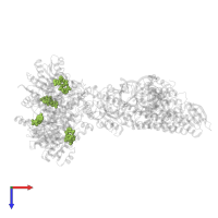 NICOTINAMIDE-ADENINE-DINUCLEOTIDE in PDB entry 7onu, assembly 1, top view.